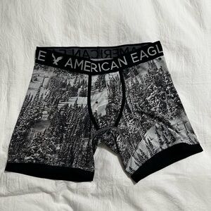 American Eagle Boxer Briefs